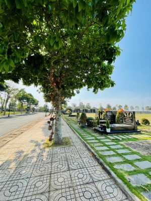 Mộ Đơn Cao Cấp