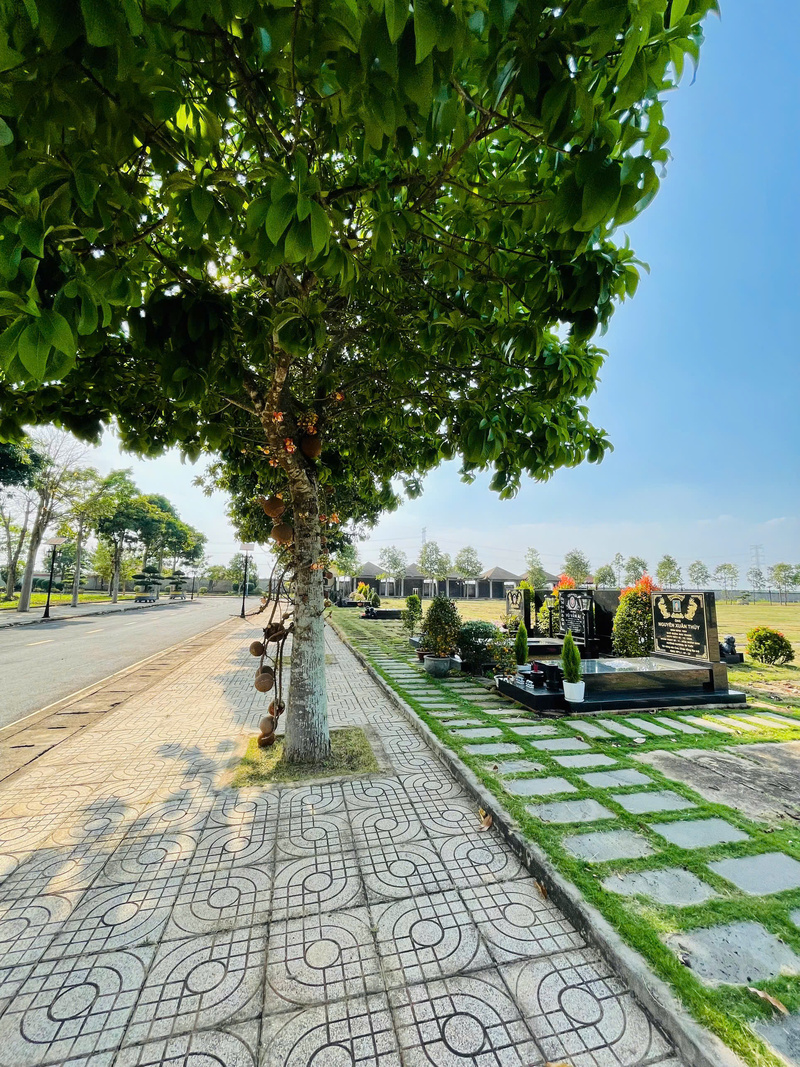 Mộ Đơn Cao Cấp