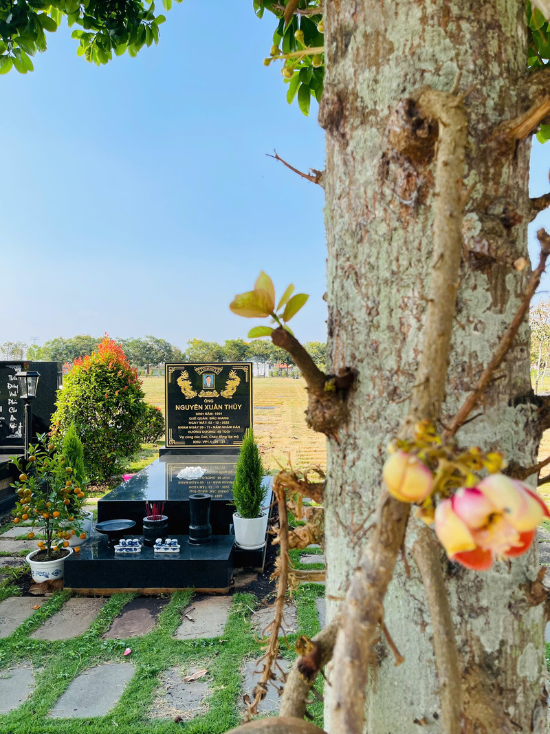 Mộ Đơn Trọn Gói