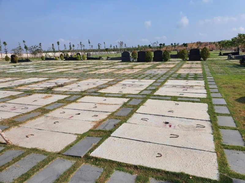 mẫu mộ tròn đẹp